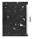 Fig. 07 - COMPOSITIONS AND METHODS FOR NANOPOLYMER-BASED NUCLEIC ACID DELIVERY