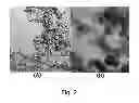 Fig. 03 - Method for preparing metal-carbon composite of core-shell structure through simultaneous vaporization and metal-carbon composite of core-shell structure prepared thereby
