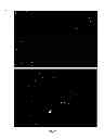 Fig. 33 - Fast thermo-optical particle characterisation