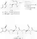 Fig. 15 - PEPTIDOMIMETIC COMPOUNDS AND RELATED METHODS