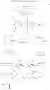 Fig. 20 - PEPTIDOMIMETIC COMPOUNDS AND RELATED METHODS