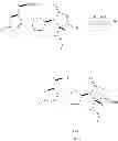 Fig. 53 - PEPTIDOMIMETIC COMPOUNDS AND RELATED METHODS