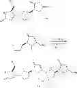 Fig. 71 - PEPTIDOMIMETIC COMPOUNDS AND RELATED METHODS