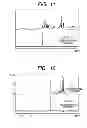 Fig. 07 - Method of measuring enzyme activity by multi-dimensional nuclear magnetic resonance