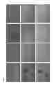Fig. 27 - Methods and compositions for cell culture platform