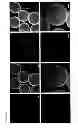 Fig. 29 - Methods and compositions for cell culture platform