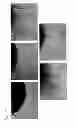 Fig. 32 - Methods and compositions for cell culture platform