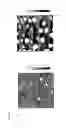 Fig. 34 - Methods and compositions for cell culture platform