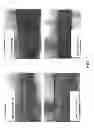 Fig. 02 - CARBON FRICTION MATERIALS