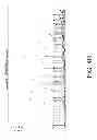 Fig. 22 - Phase-protecting reagent flow orderings for use in sequencing-by-synthesis