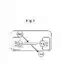 Fig. 02 - Screening method for antidiabetic agent using newly identified insulin secretion regulation factor