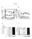 Fig. 07 - Screening method for antidiabetic agent using newly identified insulin secretion regulation factor
