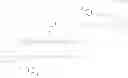 Fig. 131 - Double-acylated GLP-1 derivatives