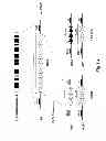 Fig. 02 - Methods for alleviating facioscapulohumeral dystrophy (FSHD) by N siRNA molecule inhibiting the expression of DUX4-FL