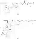Fig. 45 - Glycoside compound