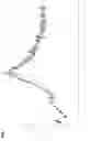 Fig. 02 - Nucleoside phosphoramidates
