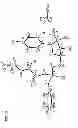 Fig. 13 - Nucleoside phosphoramidates