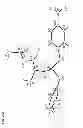 Fig. 22 - Nucleoside phosphoramidates