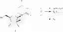 Fig. 26 - Nucleoside phosphoramidates