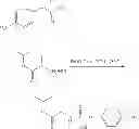 Fig. 27 - Nucleoside phosphoramidates
