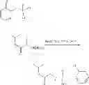 Fig. 31 - Nucleoside phosphoramidates