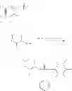 Fig. 32 - Nucleoside phosphoramidates