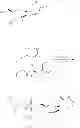 Fig. 34 - Nucleoside phosphoramidates
