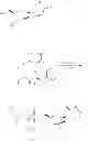 Fig. 35 - Nucleoside phosphoramidates