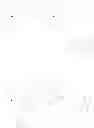 Fig. 37 - Nucleoside phosphoramidates