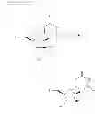 Fig. 42 - Nucleoside phosphoramidates