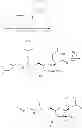 Fig. 43 - Nucleoside phosphoramidates