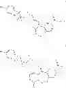 Fig. 04 - CCR1 ANTAGONISTS AND METHODS OF USE THEREFOR