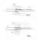 Fig. 02 - Coupling arrangement for a telescopic device
