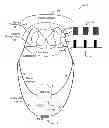 Fig. 01 - System and method of bladder and sphincter control