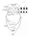 Fig. 02 - System and method of bladder and sphincter control