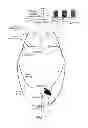 Fig. 06 - System and method of bladder and sphincter control