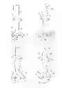 Fig. 02 - PERSONALIZED PROSTHESIS AND METHODS OF USE