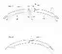 Fig. 06 - Multiple component bone void filling implant