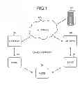 Fig. 02 - Key setting method, node, server, and network system