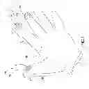 Fig. 02 - Finger glove for electronics device