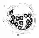 Fig. 02 - Helmet impact liner system