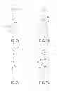 Fig. 08 - Oral care implement