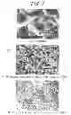 Fig. 08 - Solar cell wafer and method of producing the same