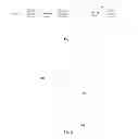 Fig. 02 - Electronic device with a supporting device for mode switching