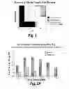 Fig. 02 - METHODS AND COMPOSITIONS FOR CNS DELIVERY OF B-GALACTOCEREBROSIDASE