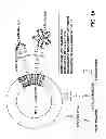 Fig. 02 - Compositions and Methods for Wound Healing
