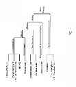 Fig. 02 - Testosterone formulations