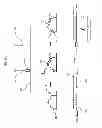 Fig. 10 - Methods and Compositions for Analysis of Nucleic Acids