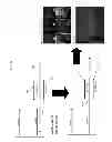 Fig. 13 - Methods and Compositions for Analysis of Nucleic Acids