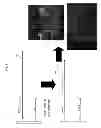 Fig. 14 - Methods and Compositions for Analysis of Nucleic Acids